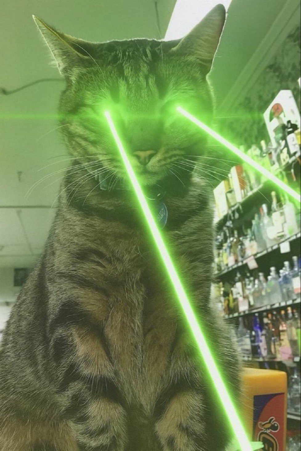 Laser Eyes KitKat